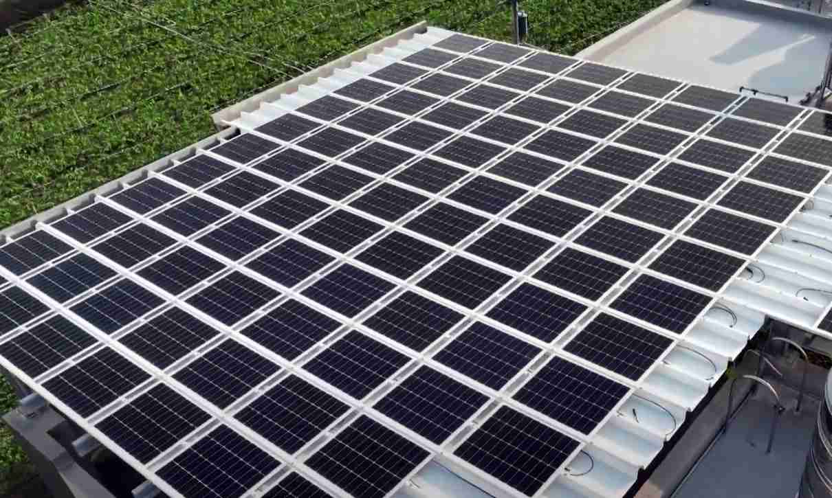 PA直营SunSteel光电浪板升级双玻结构，，以提升机械负载强度及气候耐候度，，，可广泛运用于多元场域